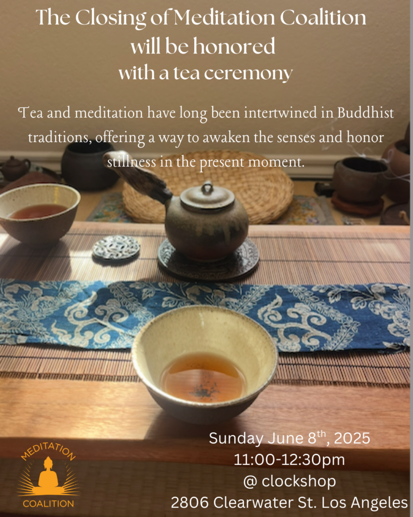 Meditation Coalition